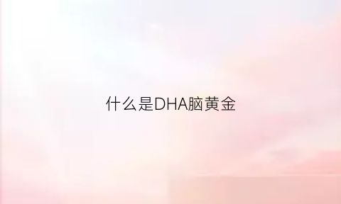 什么是DHA脑黄金