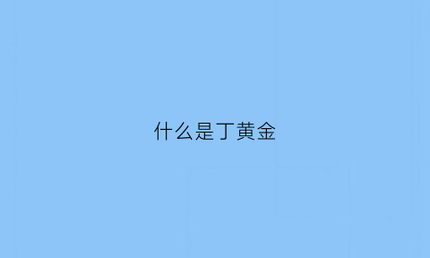 什么是丁黄金(丁金闪个人主页)