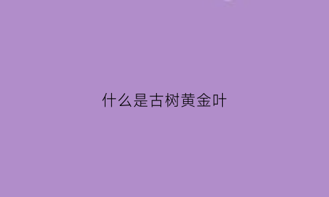 什么是古树黄金叶