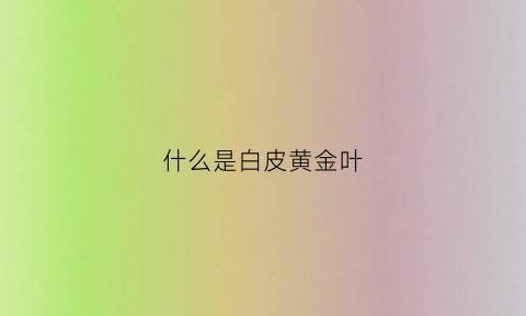 什么是白皮黄金叶