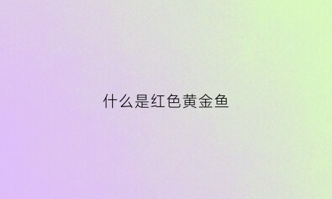 什么是红色黄金鱼