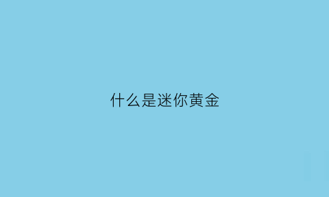 什么是迷你黄金(迷你黄金什么意思)