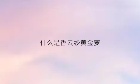 什么是香云纱黄金萝(什么是香云纱黄金萝卜系列)