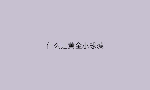 什么是黄金小球藻