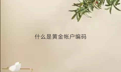 什么是黄金帐户编码(什么是黄金帐户编码和密码)