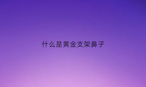 什么是黄金支架鼻子