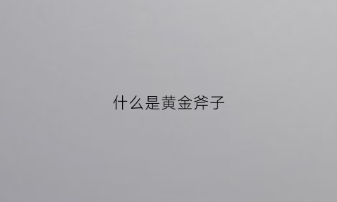 什么是黄金斧子