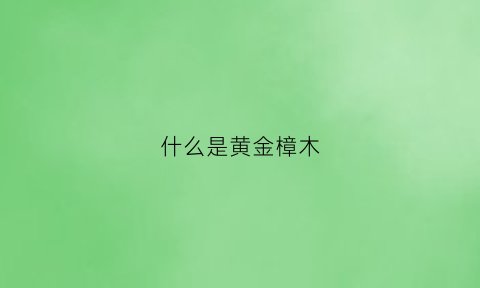 什么是黄金樟木(什么叫黄金樟木)