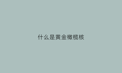 什么是黄金橄榄核(橄榄核黄金核什么意思)