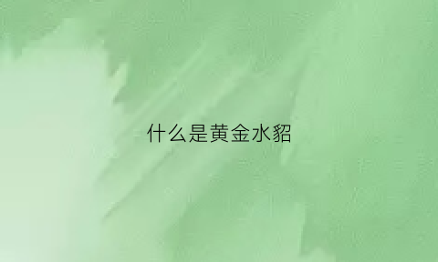 什么是黄金水貂(水貂黄金貂)