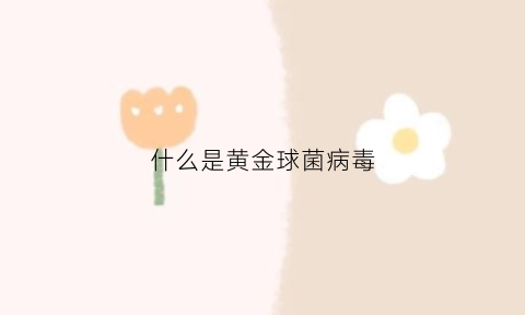 什么是黄金球菌病毒