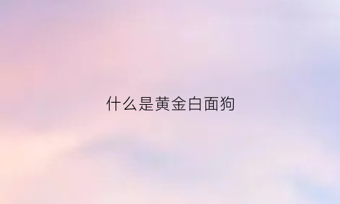 什么是黄金白面狗(黄金白脸狗)