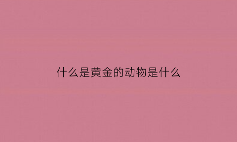 什么是黄金的动物是什么(黄金是什么动物百度)