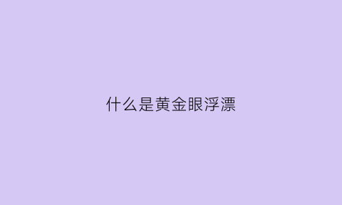 什么是黄金眼浮漂