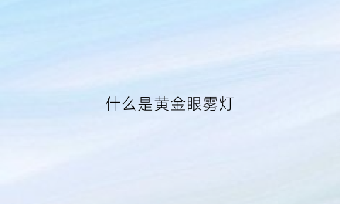 什么是黄金眼雾灯(黄金眼雾灯效果)