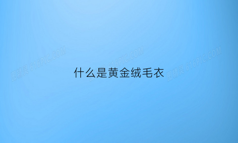 什么是黄金绒毛衣(毛衣黄金绒和羊毛哪个好)