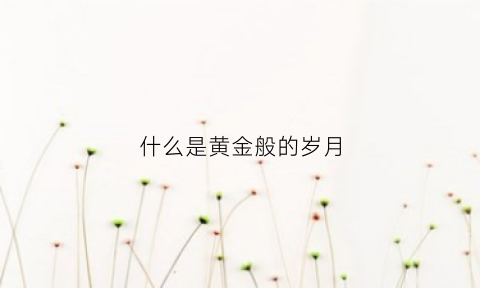 什么是黄金般的岁月