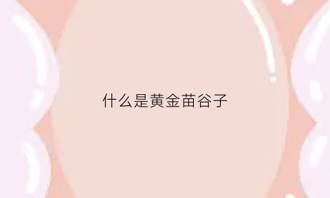 什么是黄金苗谷子(黄金苗谷子亩产多少斤)