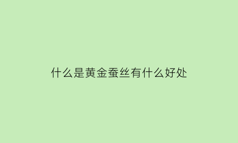 什么是黄金蚕丝有什么好处