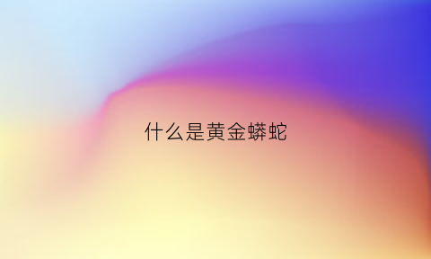 什么是黄金蟒蛇(黄金蟒蛇黄金蟒蛇)