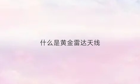 什么是黄金雷达天线(美国黄金雷达远程扫描仪售价)