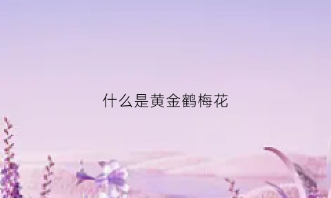 什么是黄金鹤梅花(黄金鹤嘴锄)