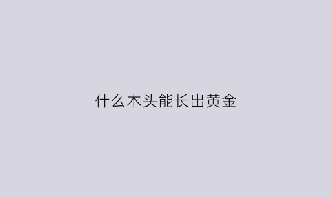 什么木头能长出黄金(什么木头会有金星)