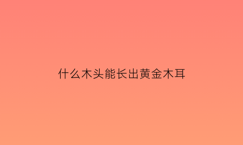 什么木头能长出黄金木耳