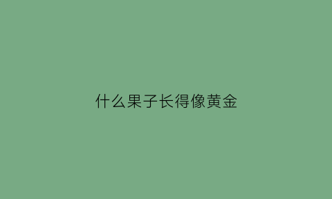 什么果子长得像黄金(什么果子长得像黄金果)