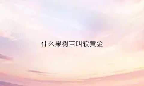 什么果树苗叫软黄金(软黄果树图片)