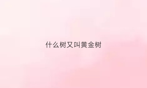 什么树又叫黄金树