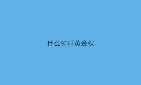 什么树叫黄金秋(什么树叫黄金秋树)