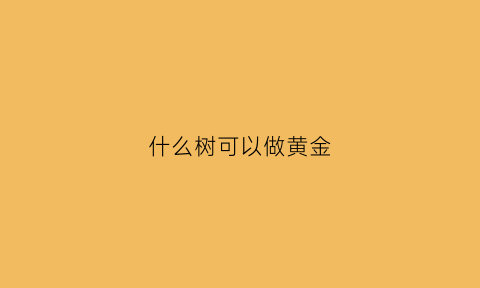 什么树可以做黄金