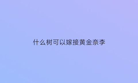 什么树可以嫁接黄金奈李(什么树可以嫁接黄金奈李)