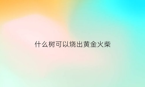 什么树可以烧出黄金火柴(什么树可以烧出黄金火柴味道)