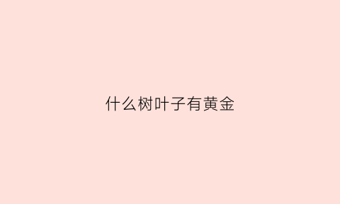 什么树叶子有黄金(什么树叶子有黄金色的)