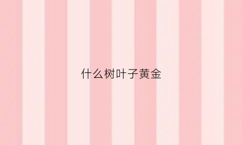 什么树叶子黄金