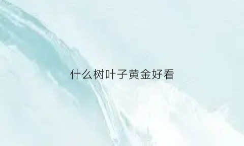 什么树叶子黄金好看(什么树叶子最好看)