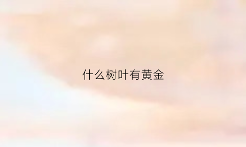 什么树叶有黄金