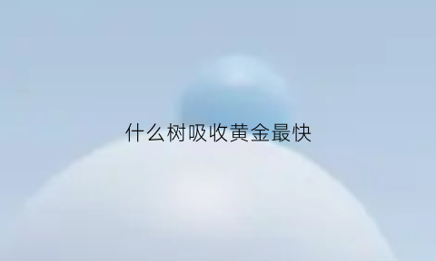 什么树吸收黄金最快(什么树可以提炼黄金)