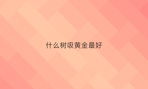 什么树吸黄金最好(什么树吸财)