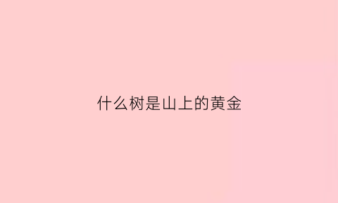 什么树是山上的黄金(山上什么树值钱)