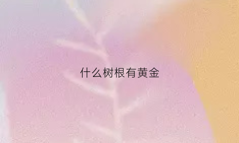 什么树根有黄金(什么树根有黄金元素)