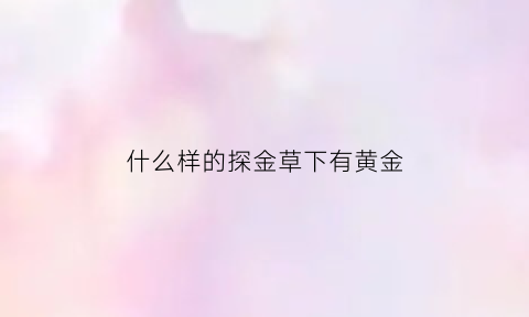 什么样的探金草下有黄金