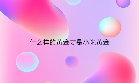 什么样的黄金才是小米黄金(黄金小米是什么米)