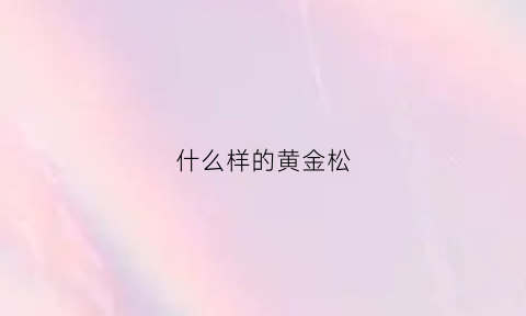 什么样的黄金松