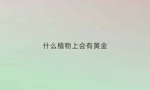 什么植物上会有黄金(什么植物生长的地方有黄金)