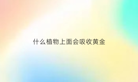 什么植物上面会吸收黄金(能吸黄金的植物)