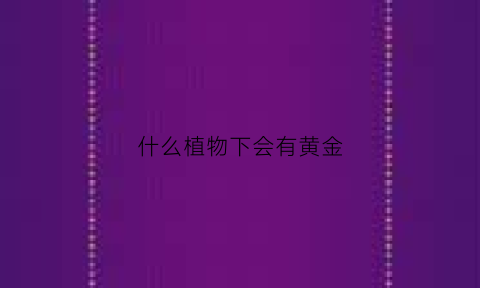 什么植物下会有黄金