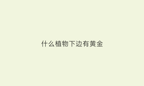 什么植物下边有黄金